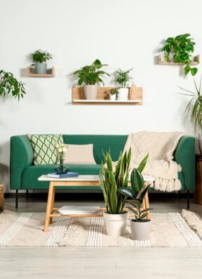 Idées de Décoration Intérieure pour Maison Neuve