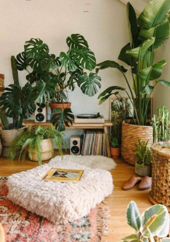 Jungle-urbaine