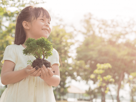 Des valeurs fortes pour votre maison