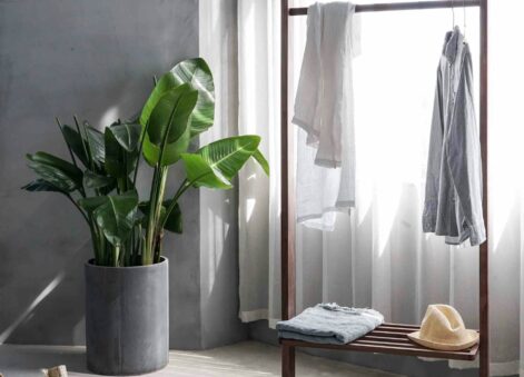 Tendances Déco maison 2025