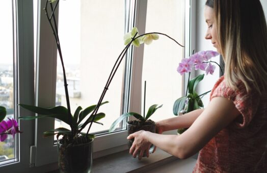 Aménagement des espaces vides de votre Maison